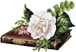 Biała róża leżąca na książce